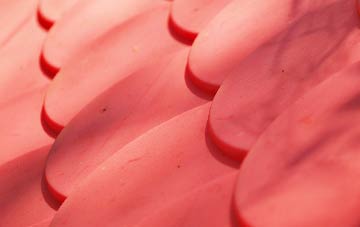 Kibbear plastic roof costs